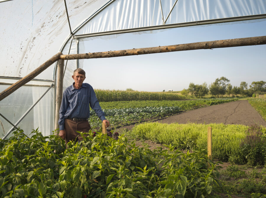 Vasile Mătrășoaie