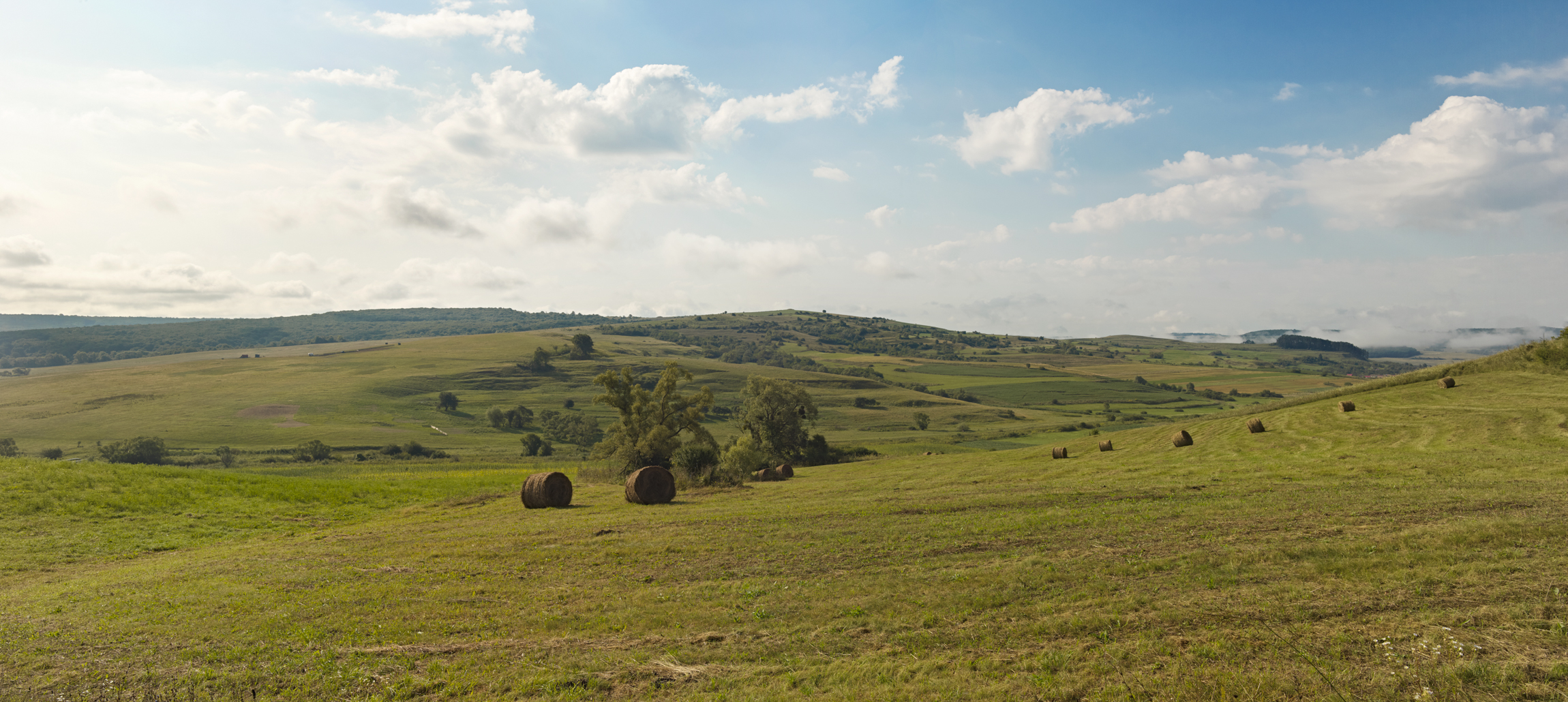 Value of the Transylvanian Landscapes