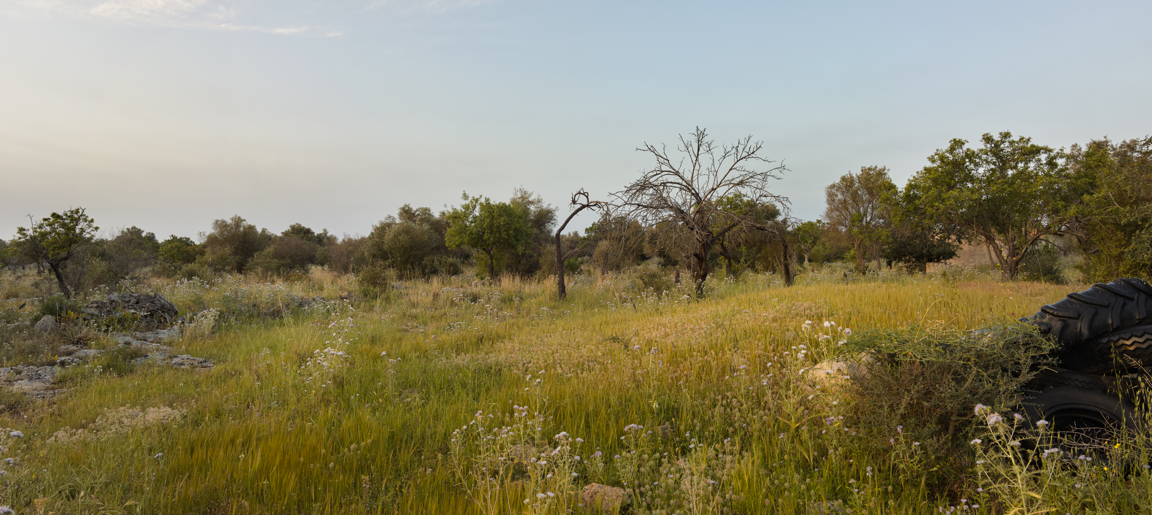 agroecology, biodiversity and farming, wilderness