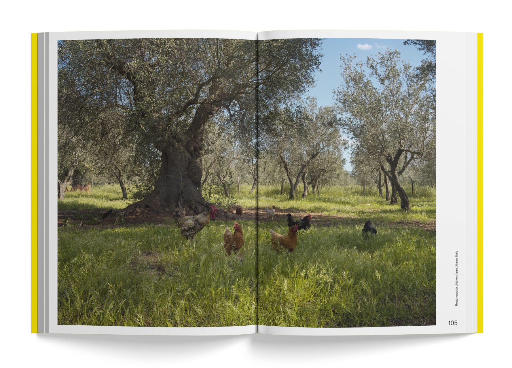 boek good food door fotograaf ruud sies verhalen uit het project resilience food stories