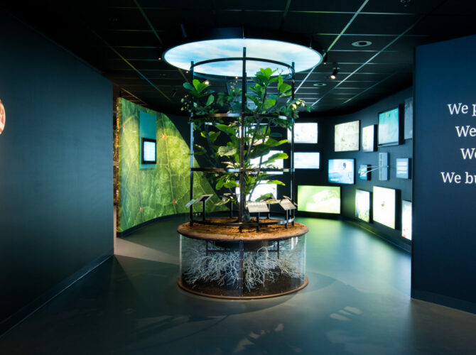 Good Food in Practice; a visit to Koppert experience center and Herenboeren de Vlinderstrik