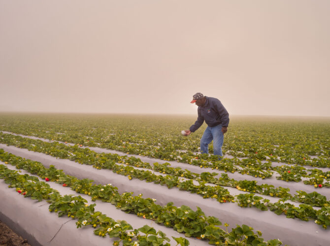 Three photographers on the world behind our food Wednesday, October 14,